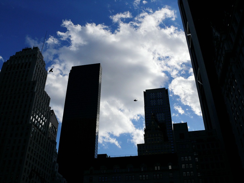 L1310511.JPG