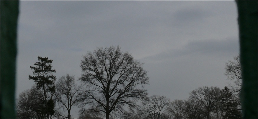 l1270702_conew3.jpg