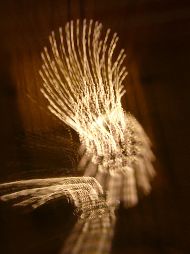 L1300036.JPG