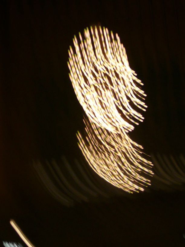 L1290557.JPG