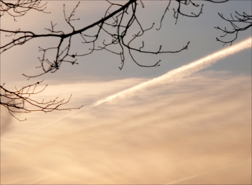 l1290055_conew2.jpg