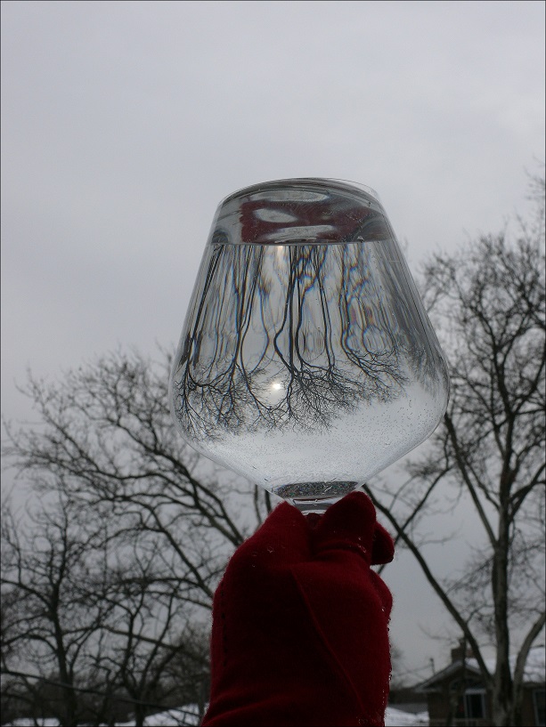 l1250105_conew1.jpg