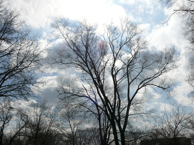 L1360037.JPG