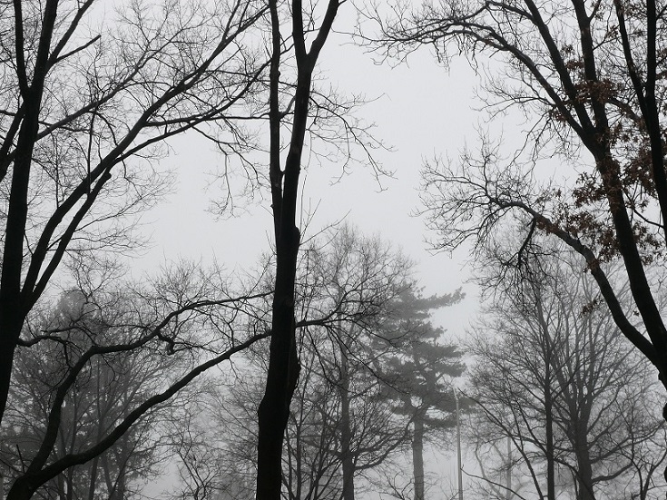 L1250437.JPG