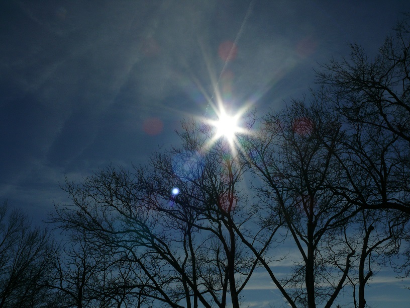 L1290017.JPG