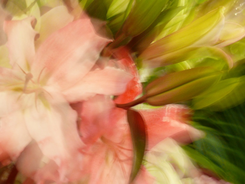 L1300234.JPG