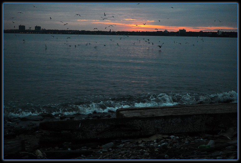 DSC_3389.jpg