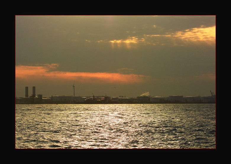 DSC_3296.jpg