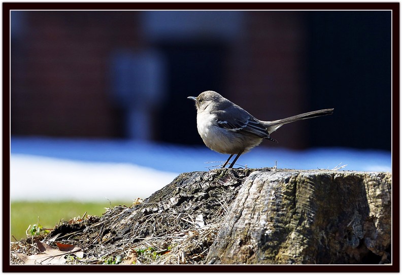 DSC_6274.jpg