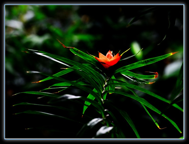 DSC_7710.jpg