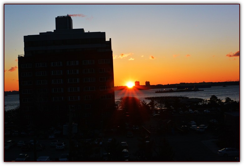 DSC_2559.jpg