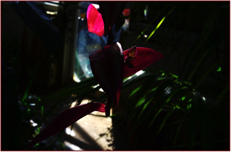 DSC_6408.jpg