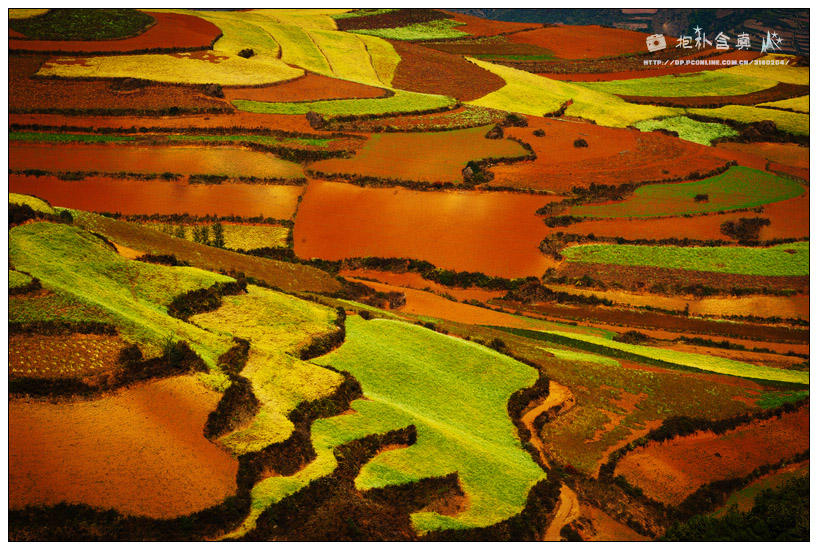 ����԰ (5).jpg