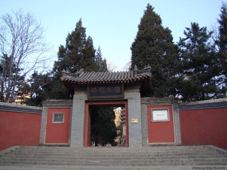 78.jpg