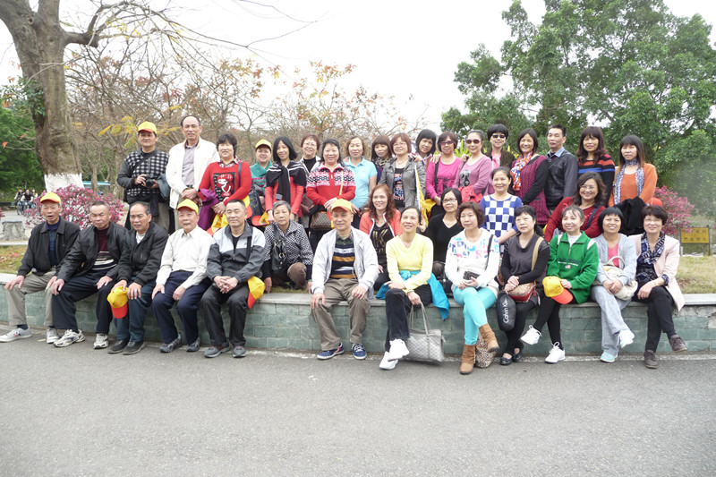 P1100394.jpg