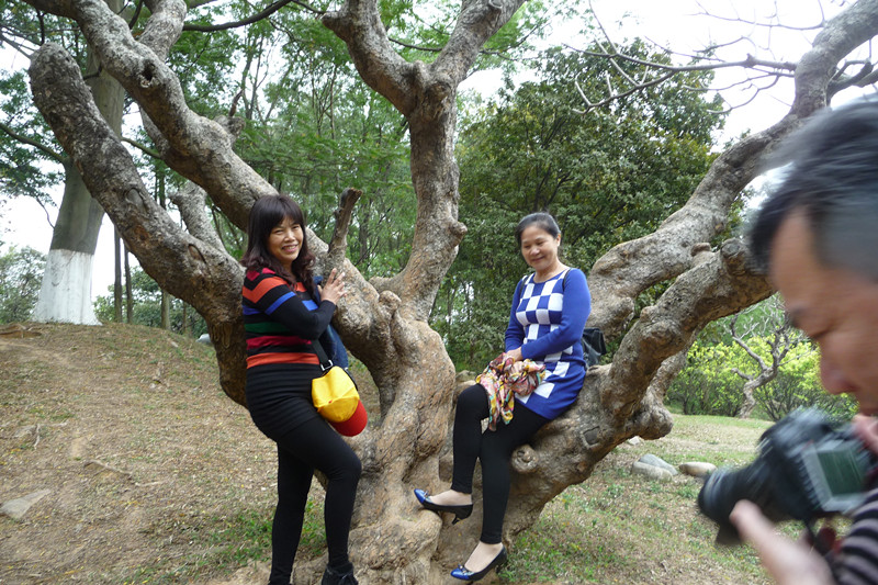 P1100377_.jpg