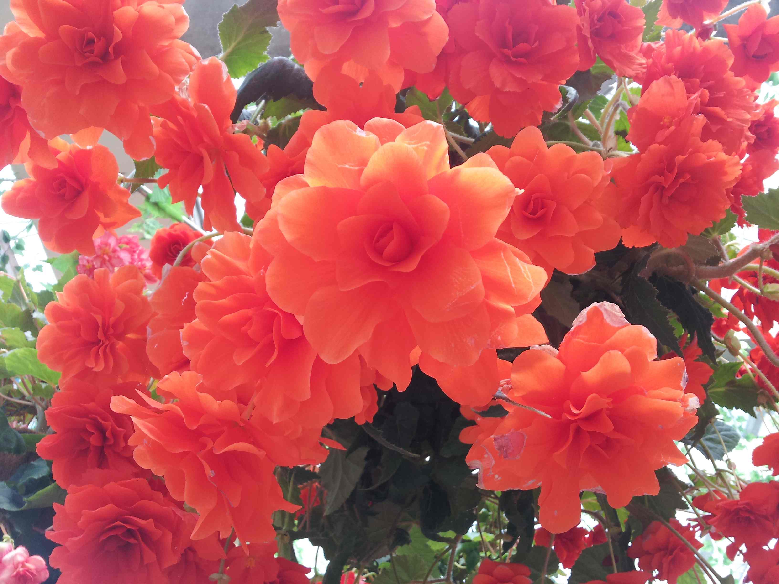 20121024_134109.jpg