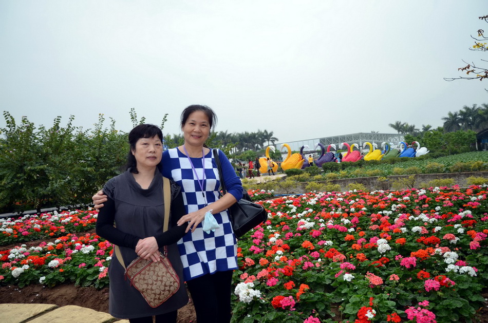DSC_4971.jpg