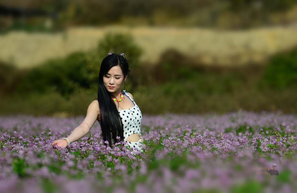 DSC_0633..jpg