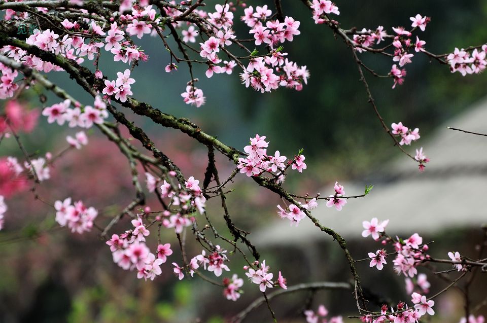DSC_6712.jpg