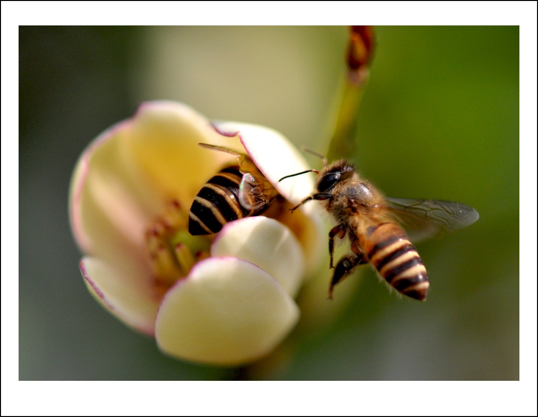 DSC_2873_conew1.jpg
