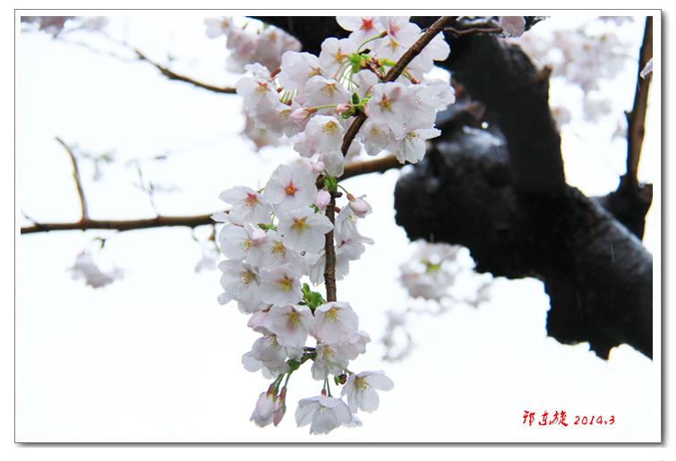 ӣ03.jpg