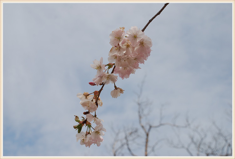 DSC_0139.jpg