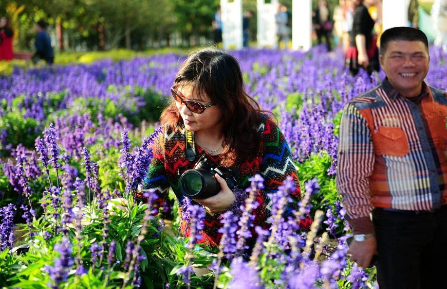 218_36656_3118779807ea17b copy.jpg