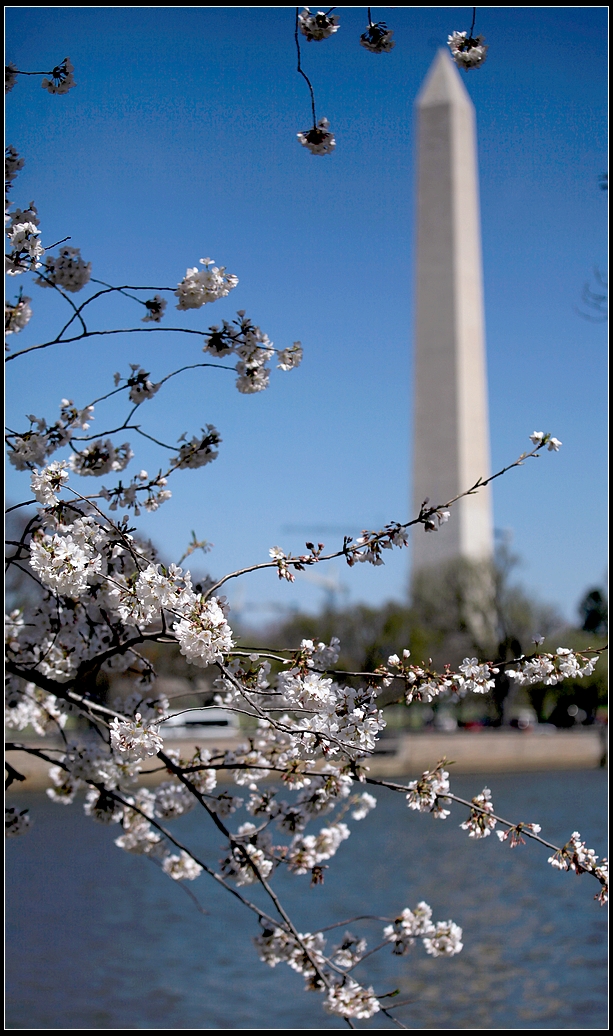 IMG_8715a.jpg