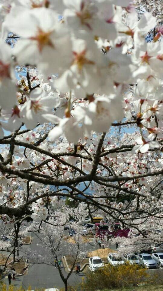 QQͼƬ20140406215929.jpg