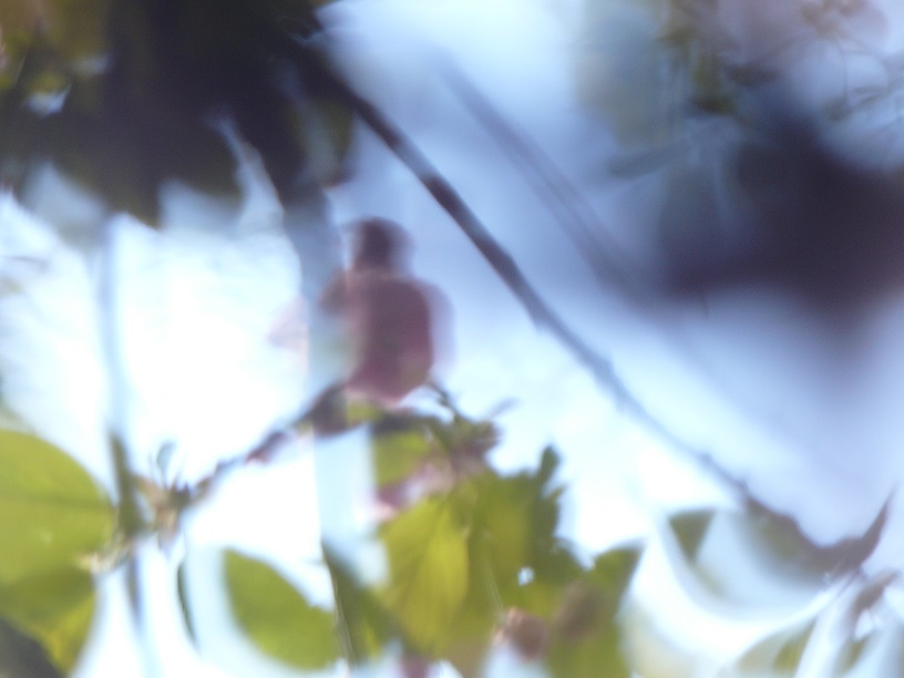 L1450703.JPG