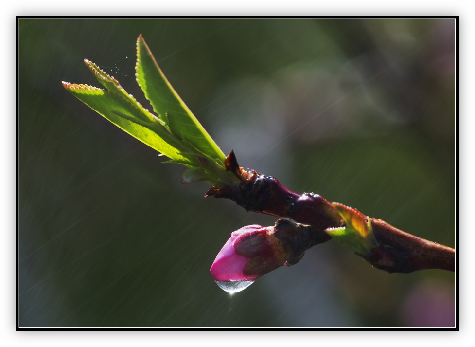 DSC_0381.jpg