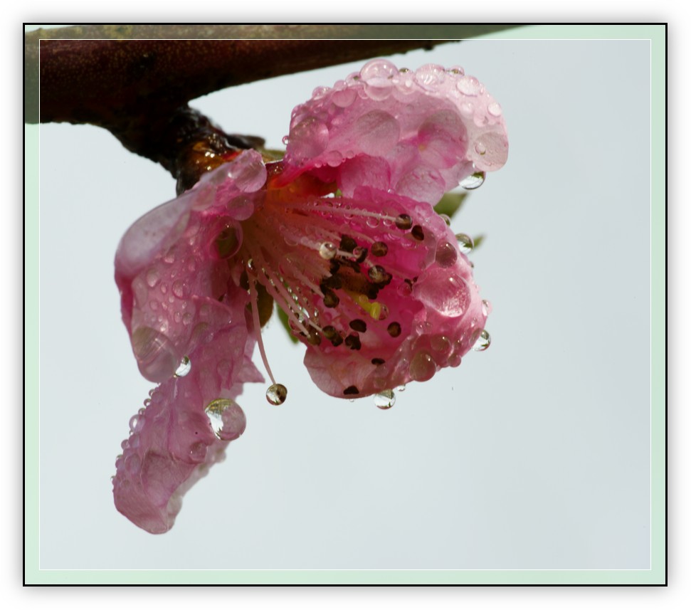 DSC_0964.jpg
