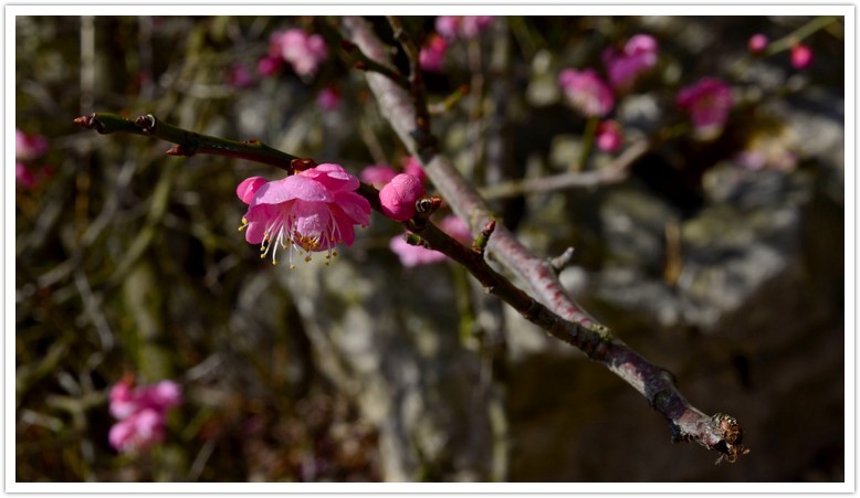 DSC_8162.jpg