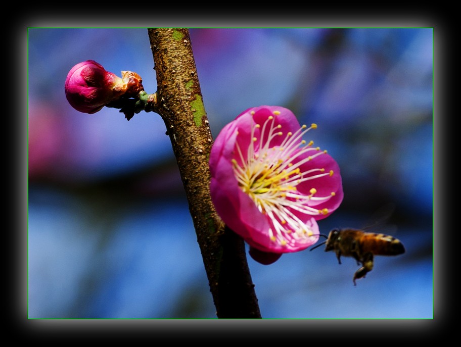 DSC_8339.jpg