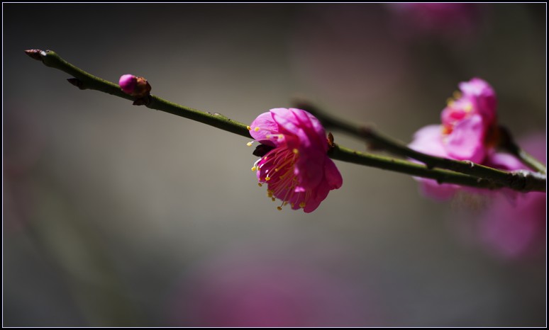 DSC_8802.jpg