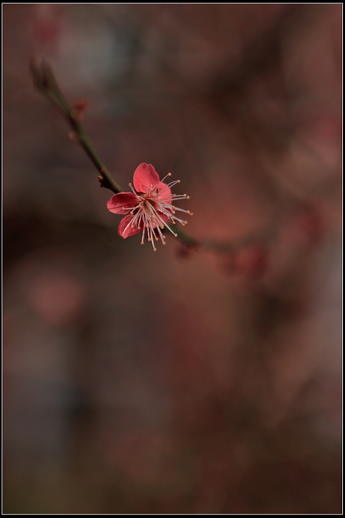 DSC_5943.JPG
