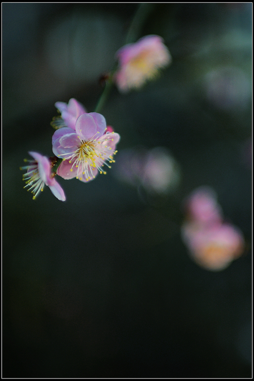 DSC_5802.JPG