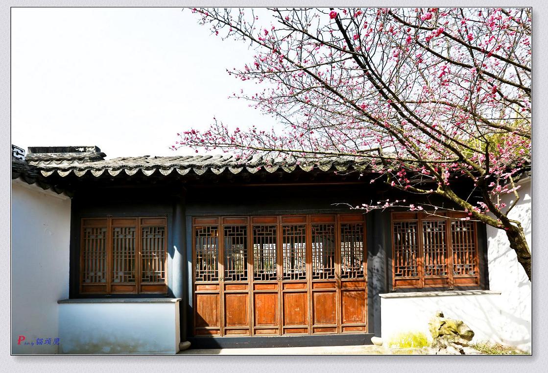 �}�u -04-11-2014-÷�� 195-3.jpg