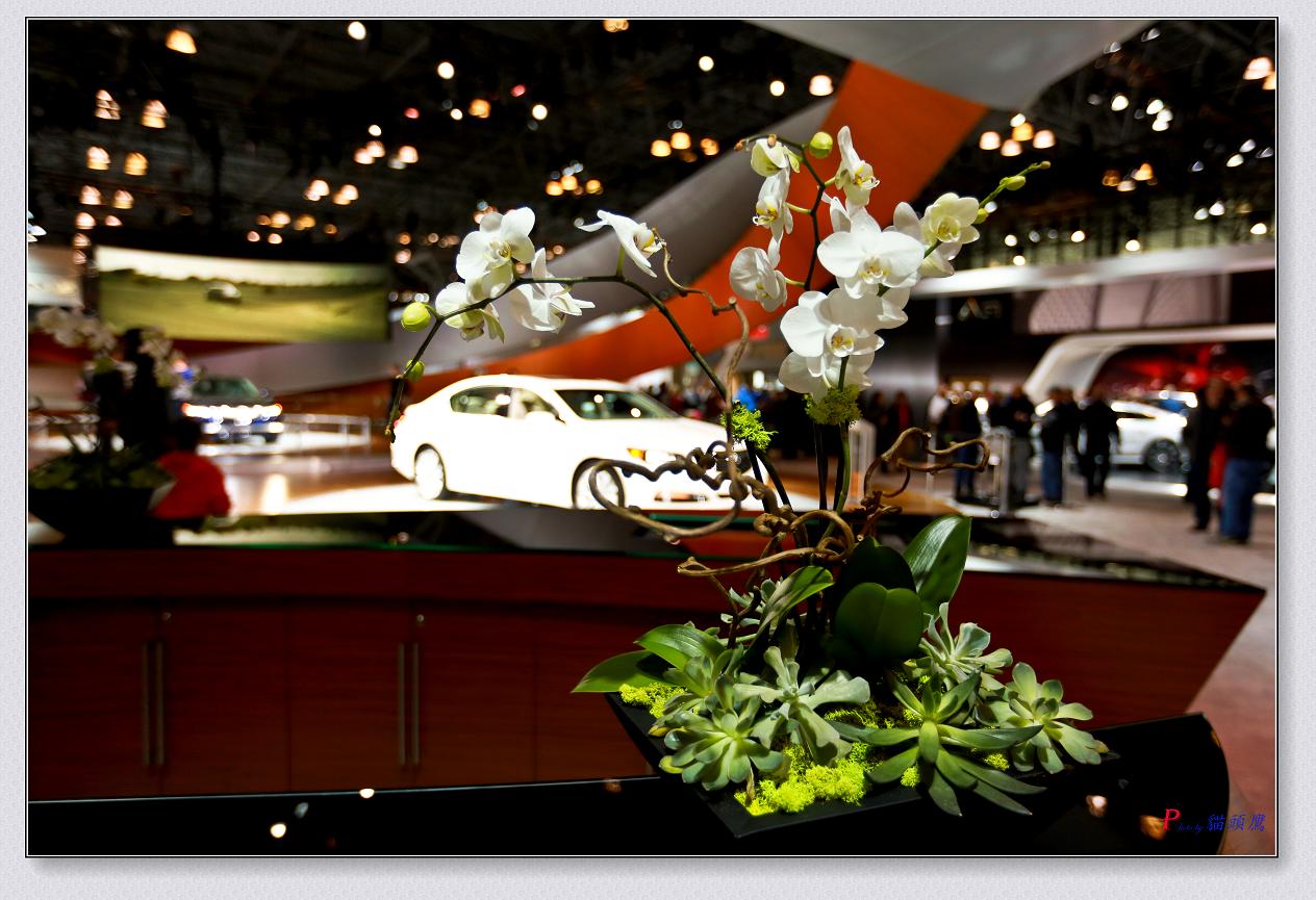 �}�u -04-18-2014-��2014-�~�s���H܇չ�� 139-2.jpg