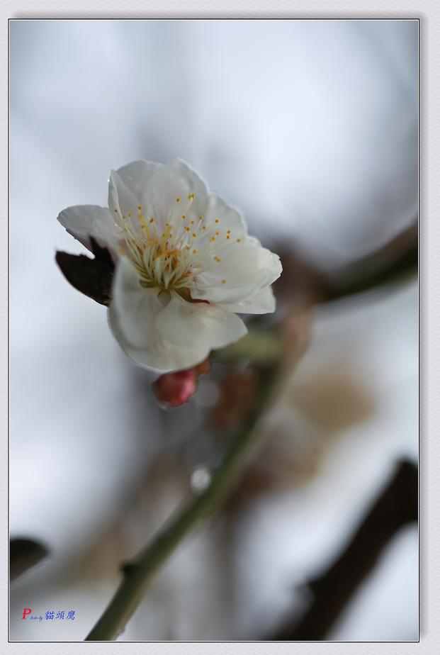 �}�u -04-11-2014-÷�� 026-2.jpg