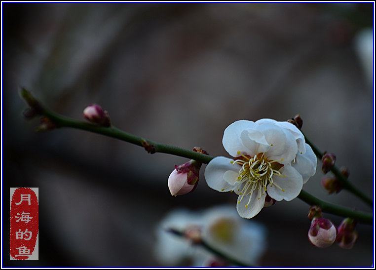 DSC_8344.jpg