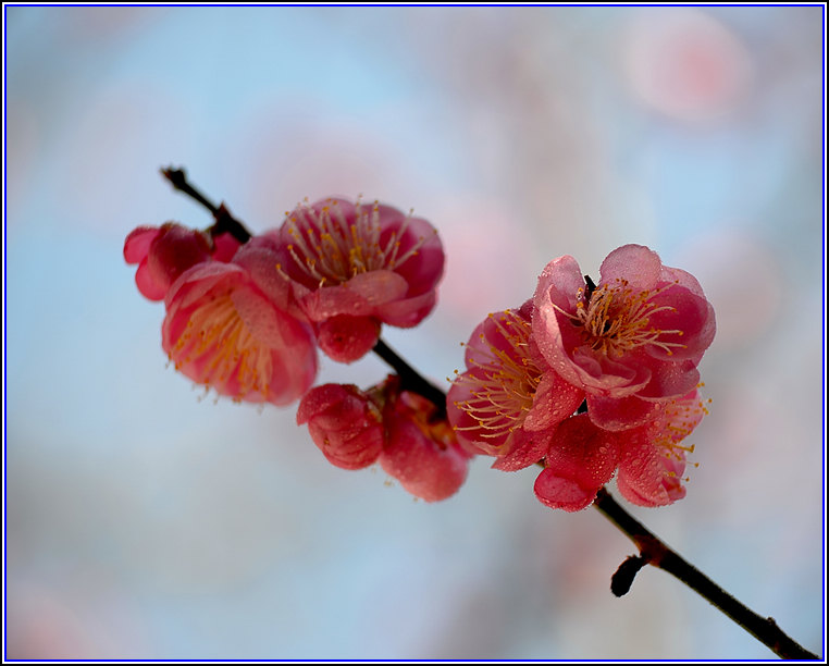 DSC_7455.jpg