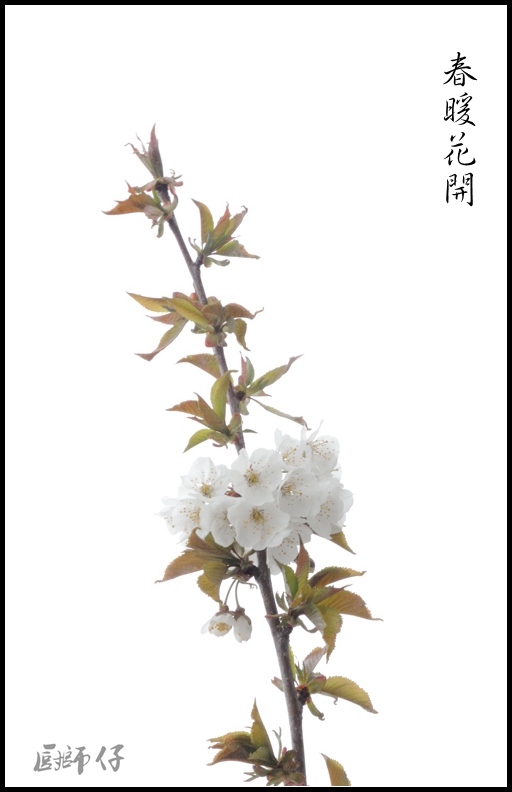 DSCN1654.jpg