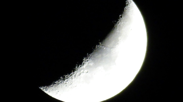 P1000708_dh.jpg