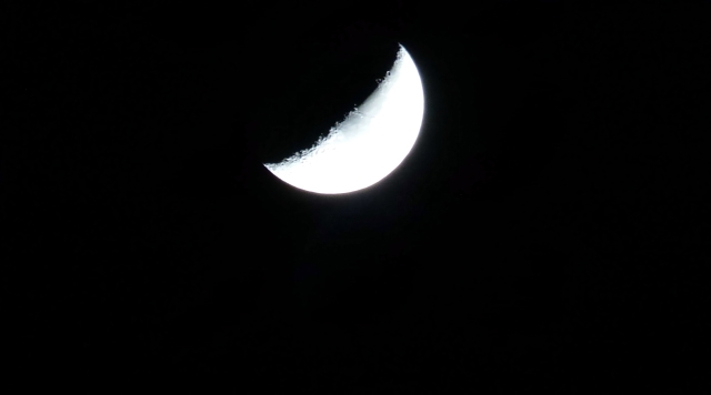 P1000706_dh.jpg