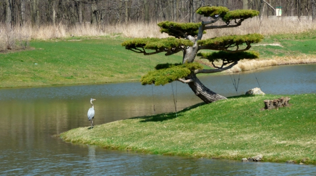 P1000899_dh_dh.jpg