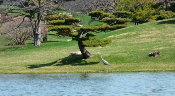 P1000890_dh_dh_dh.jpg