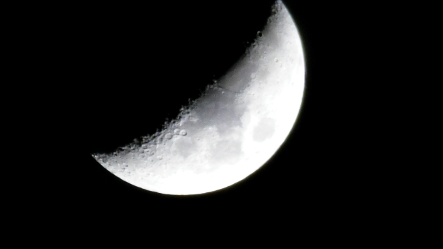 P1000704_dh.jpg