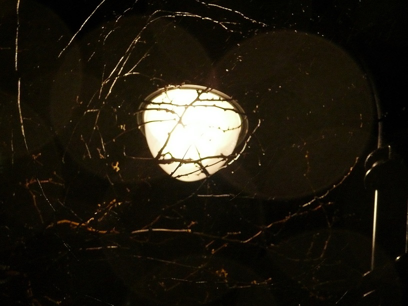 l1430128_conew1.jpg